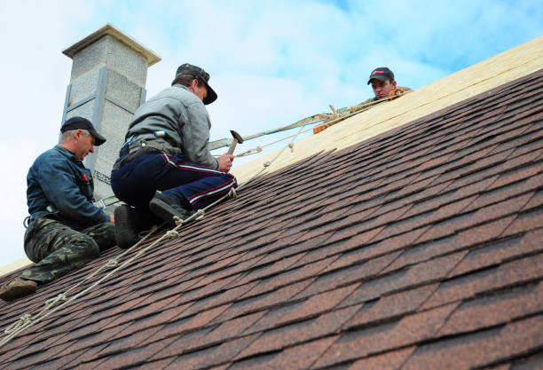 Roof Gutter Cleaning in Washington, IL